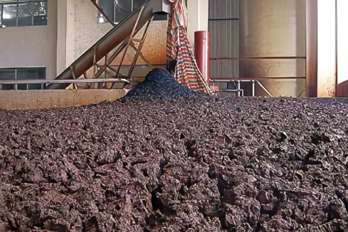 活性污泥常见异常形态的识别