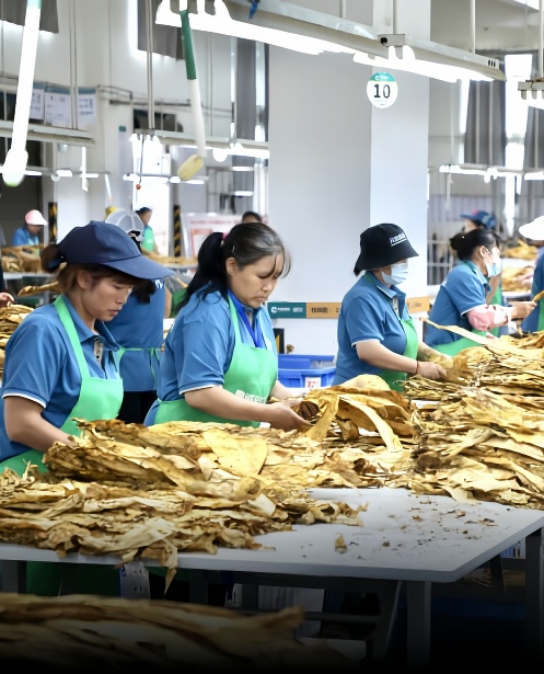 烟草行业废气异味治理